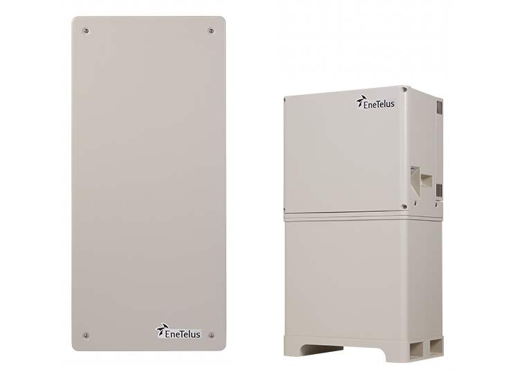 ダイヤゼブラ　EIBS No.8